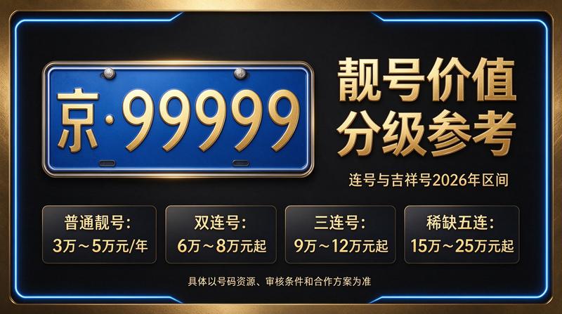 北京指标京牌业务流程示意图